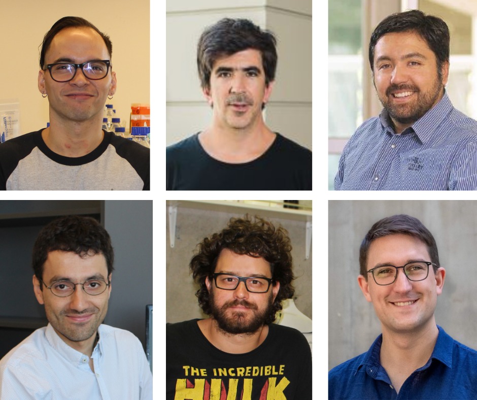 Collage de retratos de investigadores